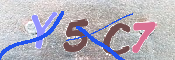 キャプチャ画像