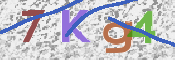 キャプチャ画像